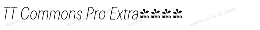 TT Commons Pro Extra字体转换